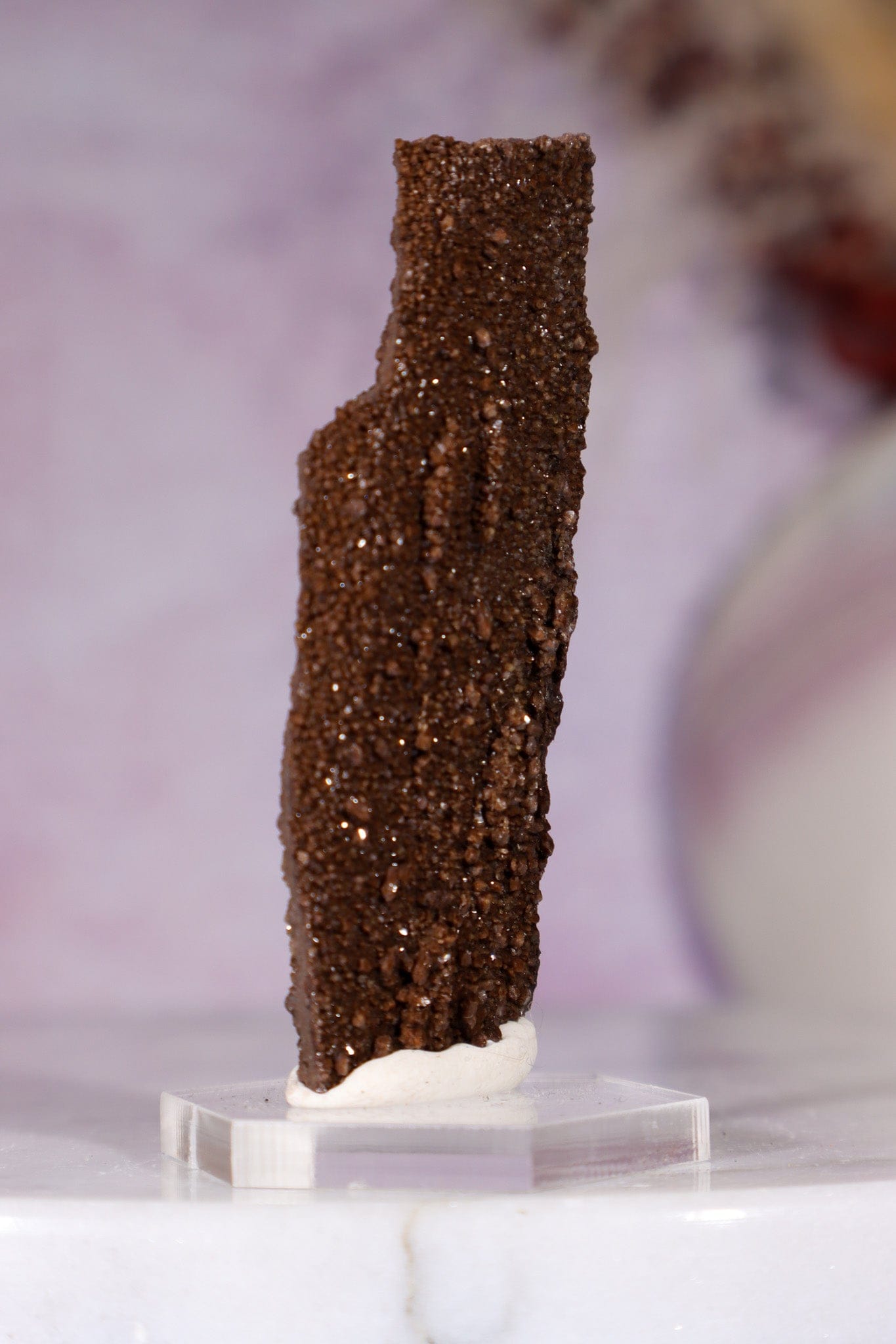 Permineralized wood 5.7cm, Germany Fossil Tali & Loz Crystals