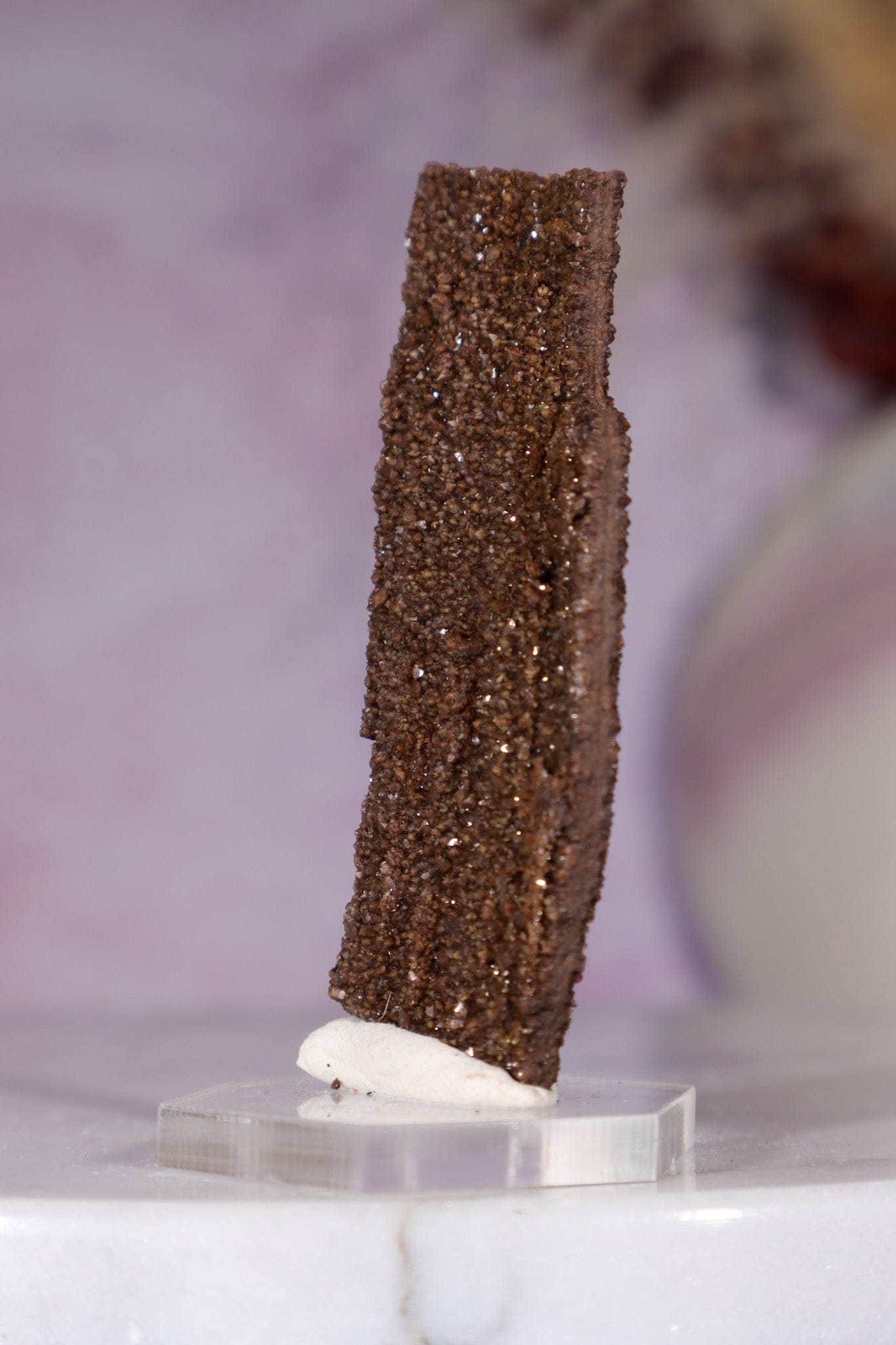 Permineralized wood 5.7cm, Germany Fossil Tali & Loz Crystals