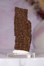 Permineralized wood 5.7cm, Germany Fossil Tali & Loz Crystals