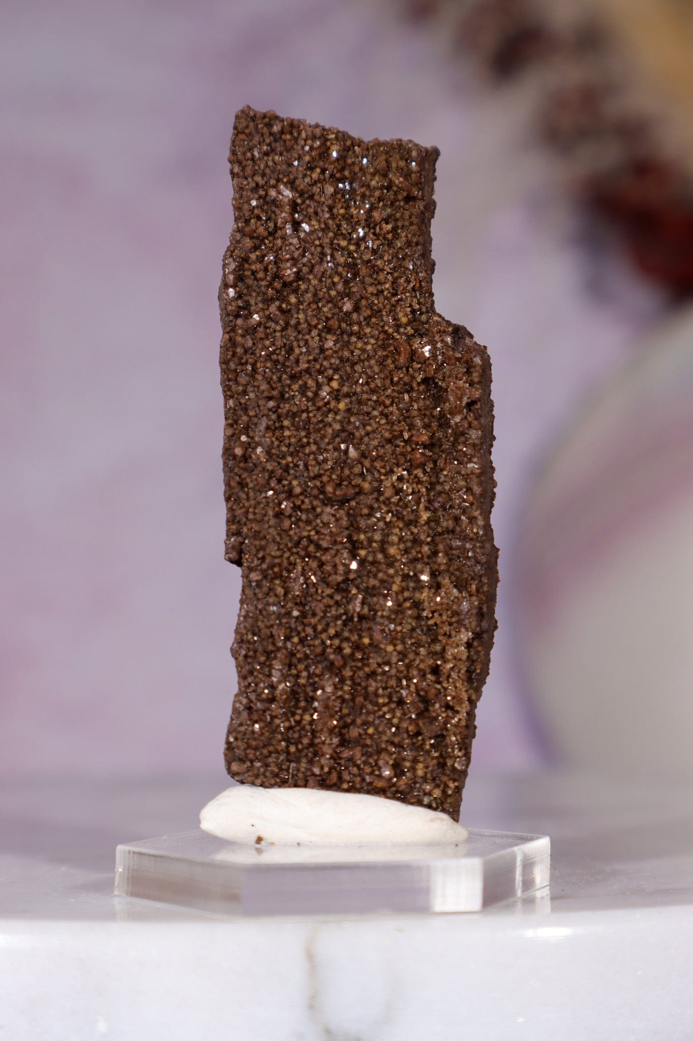 Permineralized wood 5.7cm, Germany Fossil Tali & Loz Crystals