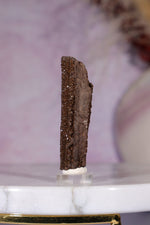 Permineralized wood 5cm, Germany Fossil Tali & Loz Crystals