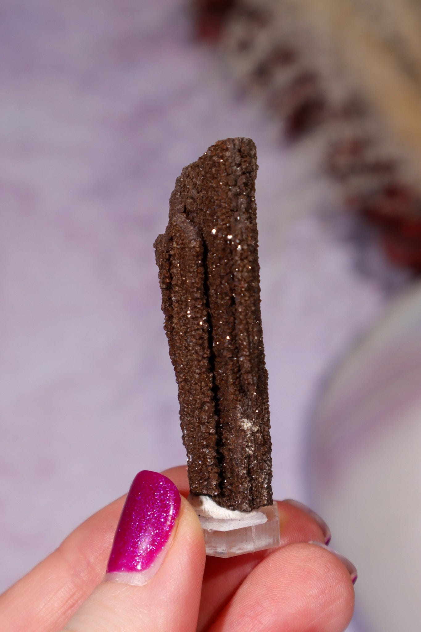 Permineralized wood 5cm, Germany Fossil Tali & Loz Crystals