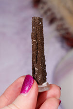 Permineralized wood 5cm, Germany Fossil Tali & Loz Crystals