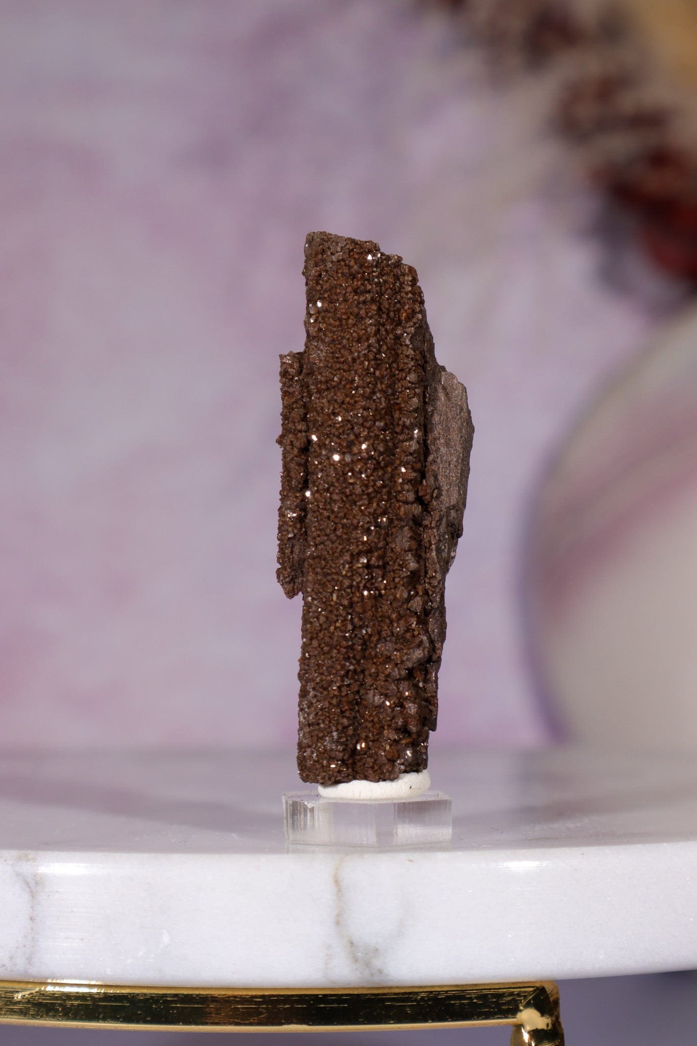 Permineralized wood 5cm, Germany Fossil Tali & Loz Crystals