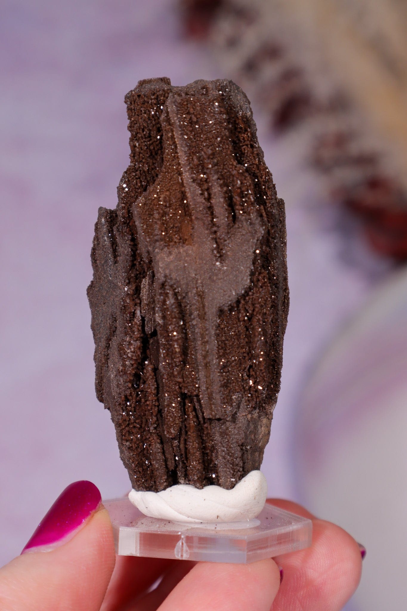 Permineralized wood 6cm, Germany Fossil Tali & Loz Crystals