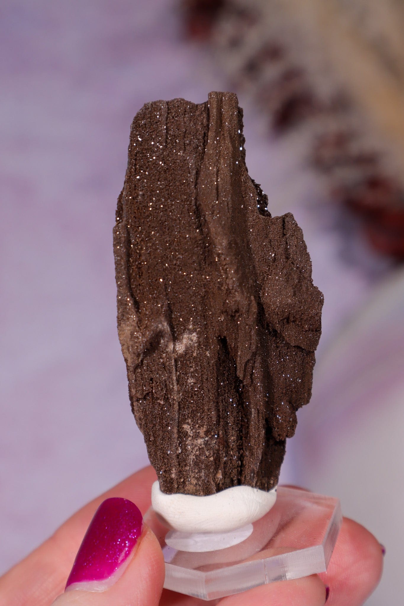 Permineralized wood 6cm, Germany Fossil Tali & Loz Crystals
