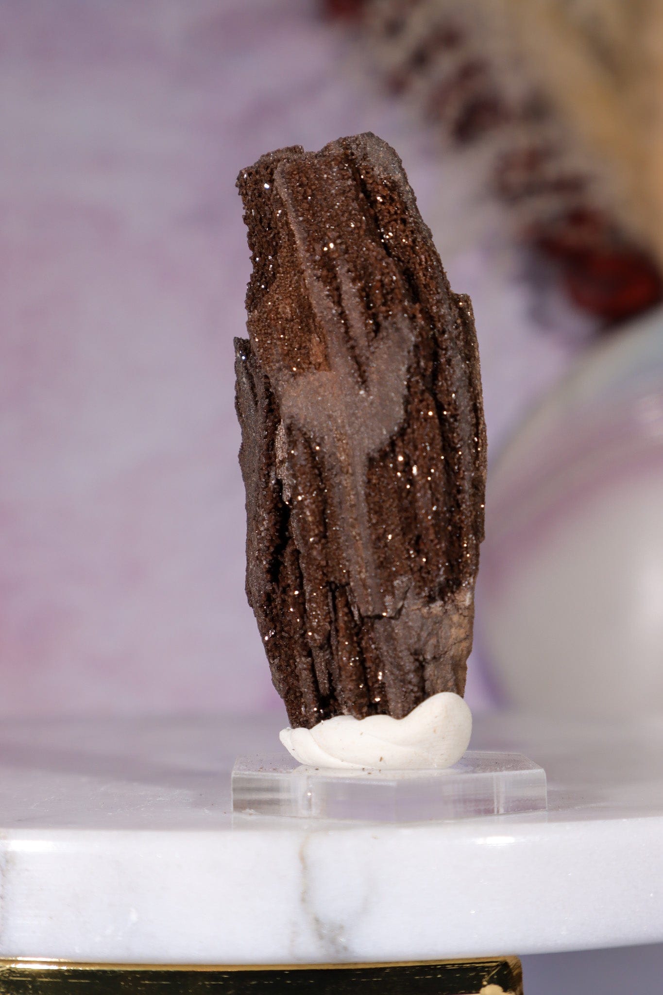 Permineralized wood 6cm, Germany Fossil Tali & Loz Crystals