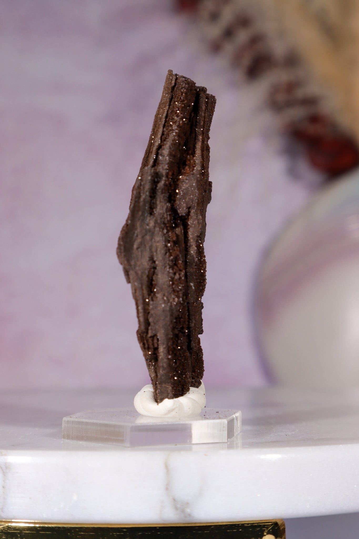 Permineralized wood 6cm, Germany Fossil Tali & Loz Crystals