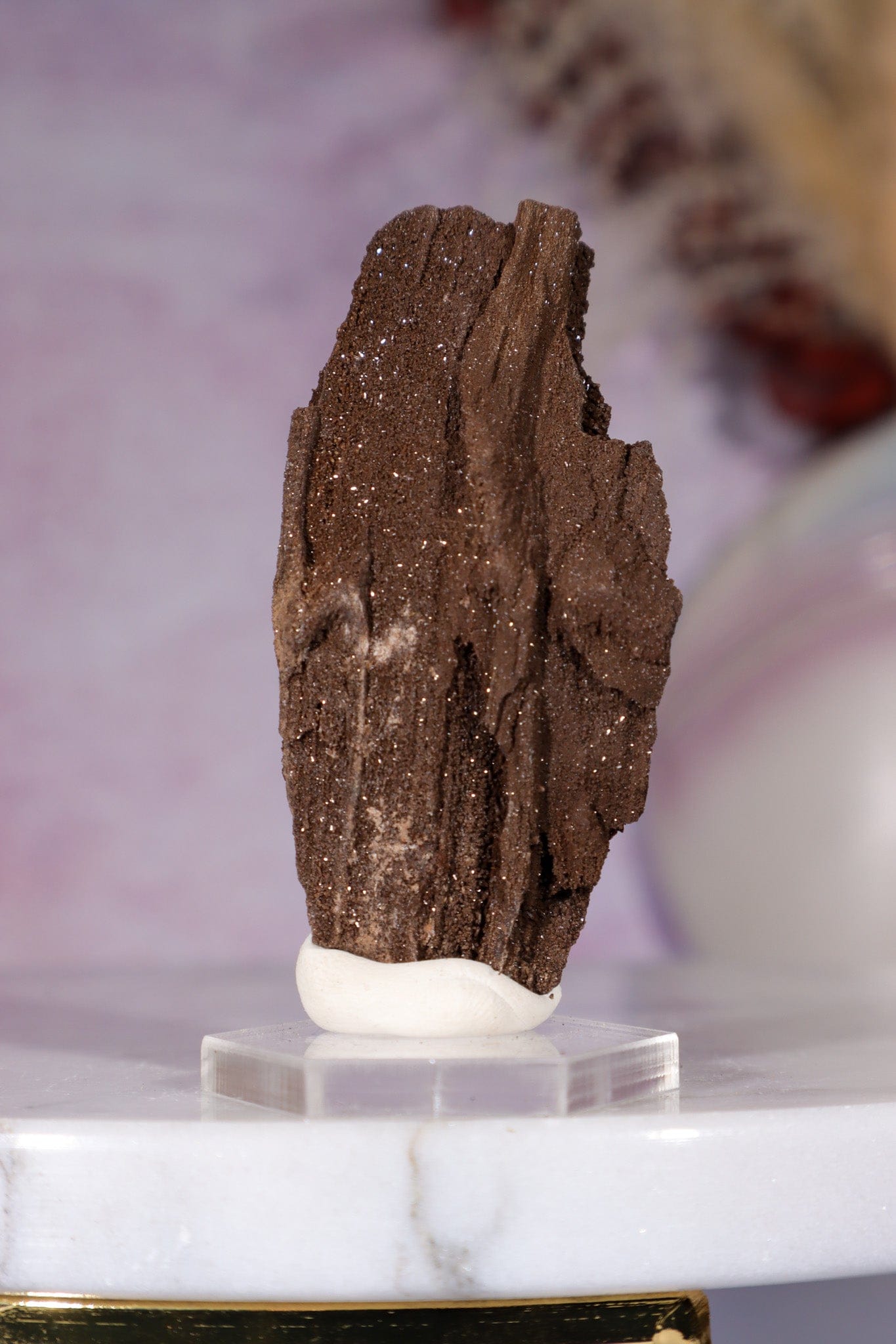 Permineralized wood 6cm, Germany Fossil Tali & Loz Crystals