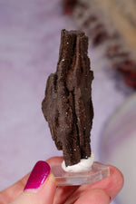 Permineralized wood 6cm, Germany Fossil Tali & Loz Crystals