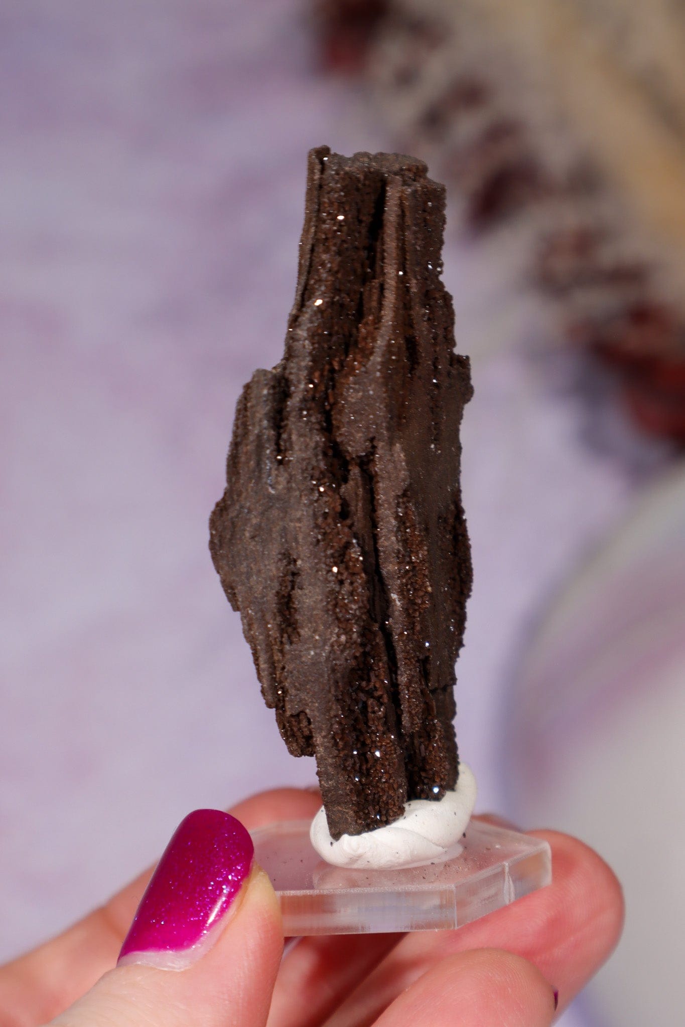 Permineralized wood 6cm, Germany Fossil Tali & Loz Crystals