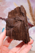 Permineralized wood, 9cm, Sold As Seen Fossil Tali & Loz Crystals