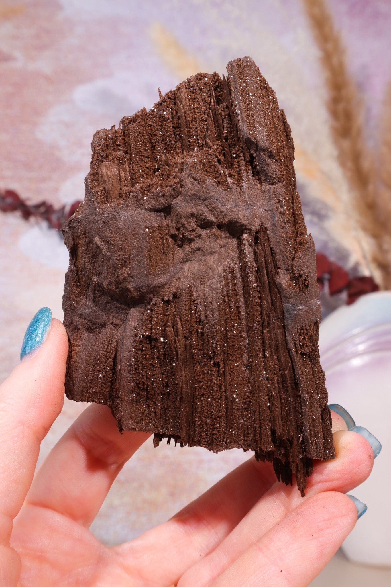 Permineralized wood, 9cm, Sold As Seen Fossil Tali & Loz Crystals