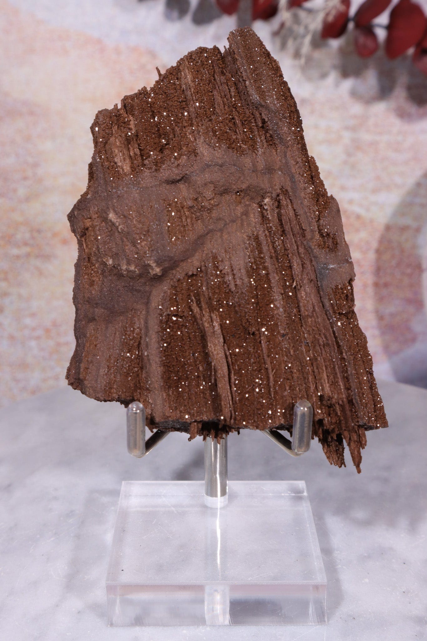 Permineralized wood, 9cm, Sold As Seen Fossil Tali & Loz Crystals