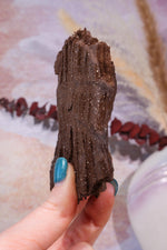 Permineralized wood, 9cm, Sold As Seen Fossil Tali & Loz Crystals