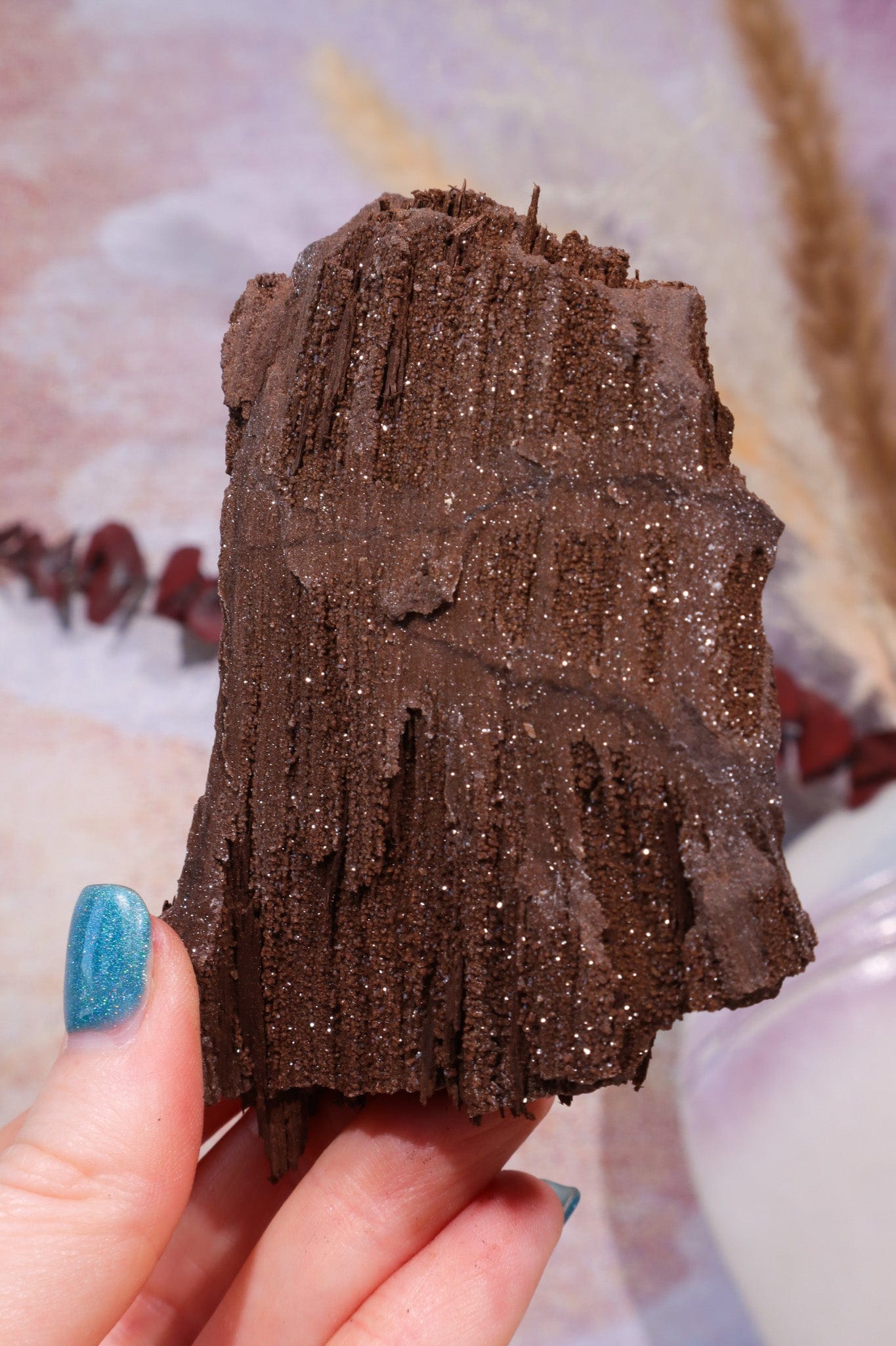 Permineralized wood, 9cm, Sold As Seen Fossil Tali & Loz Crystals