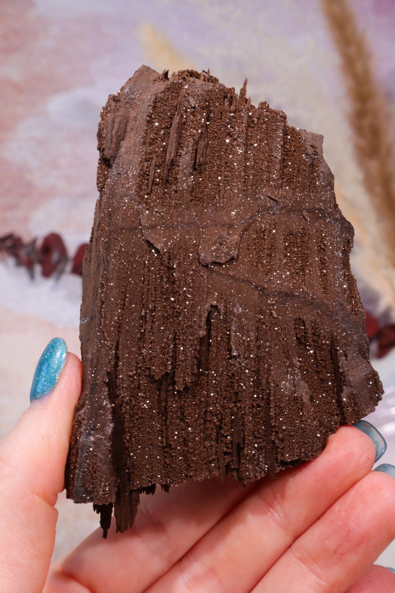 Permineralized wood, 9cm, Sold As Seen Fossil Tali & Loz Crystals