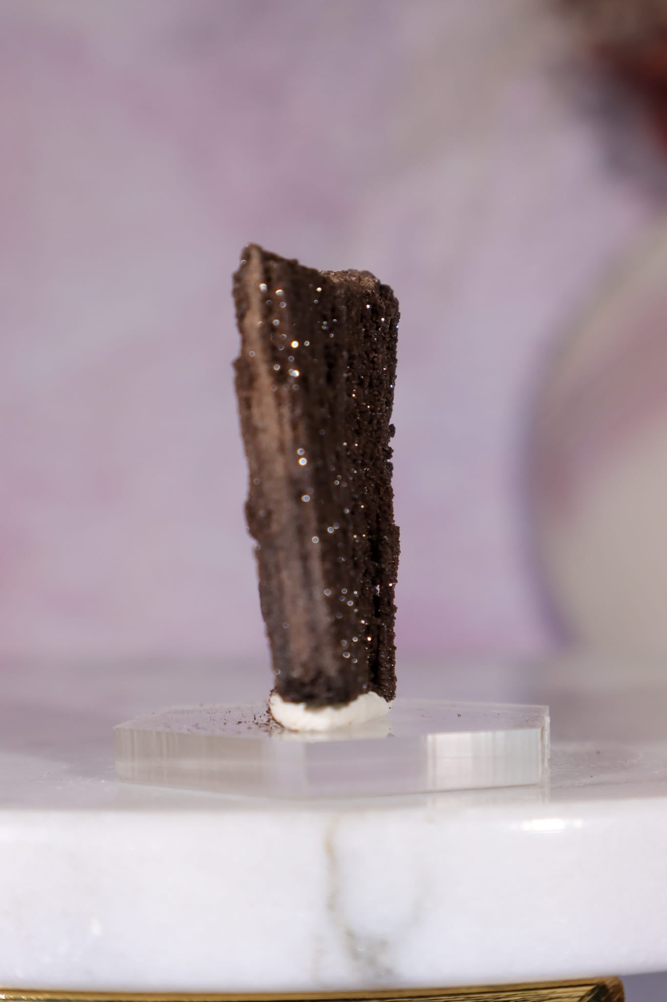 Permineralized Wood Specimen 3.5cm, Zwenkau, Leipzig, Germany, Sold as Seen Fossil Tali & Loz Crystals