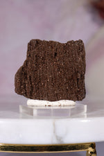 Permineralized Wood Specimen 3.5cm, Zwenkau, Leipzig, Germany, Sold as Seen Fossil Tali & Loz Crystals