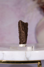 Permineralized Wood Specimen 3.5cm, Zwenkau, Leipzig, Germany, Sold as Seen Fossil Tali & Loz Crystals