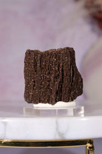 Permineralized Wood Specimen 3.5cm, Zwenkau, Leipzig, Germany, Sold as Seen Fossil Tali & Loz Crystals