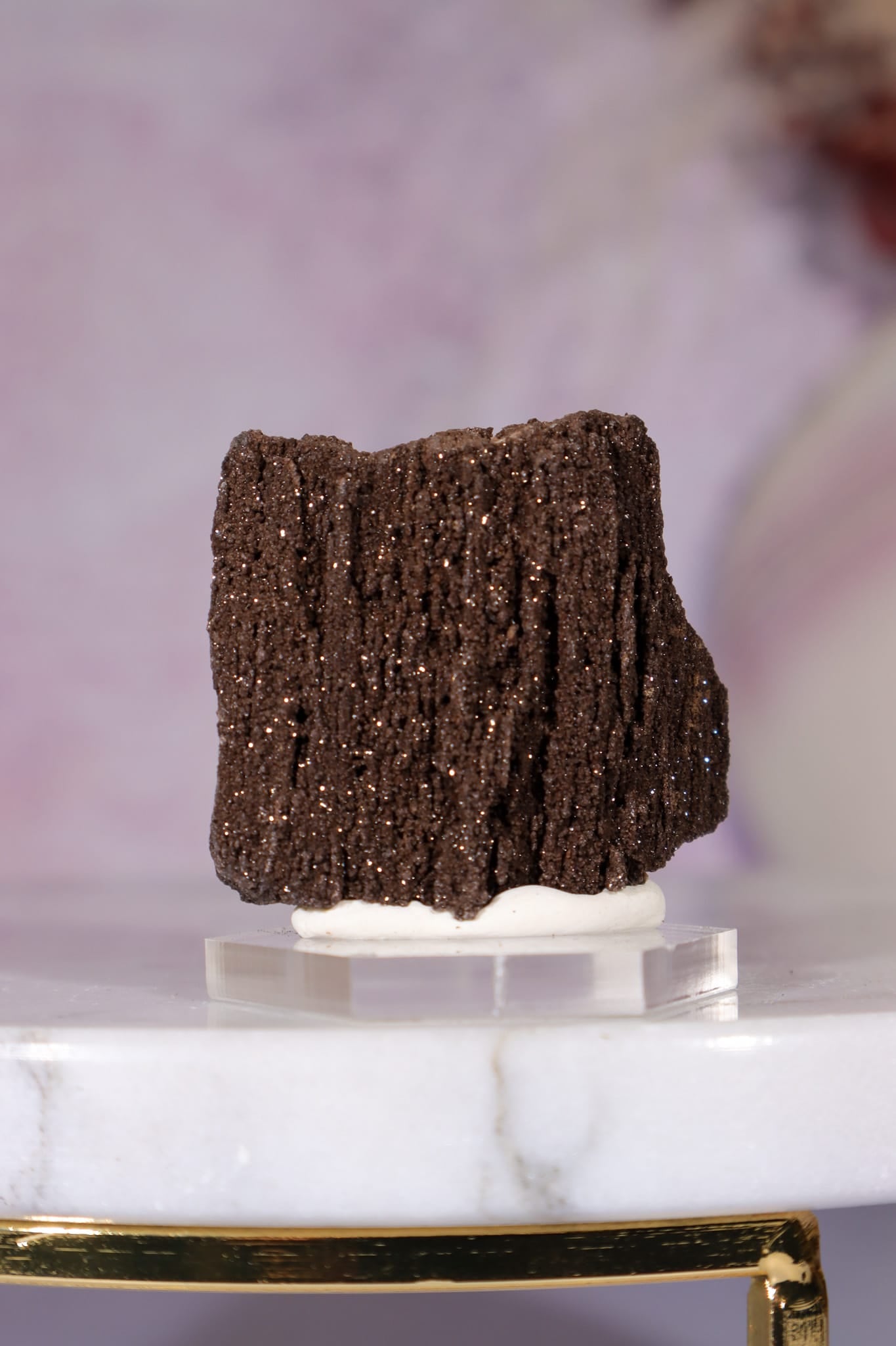 Permineralized Wood Specimen 3.5cm, Zwenkau, Leipzig, Germany, Sold as Seen Fossil Tali & Loz Crystals