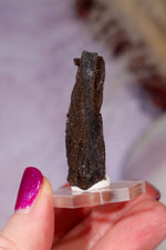 Permineralized Wood Specimen 4.2cm, Zwenkau, Leipzig, Germany, Sold as Seen Fossil Tali & Loz Crystals