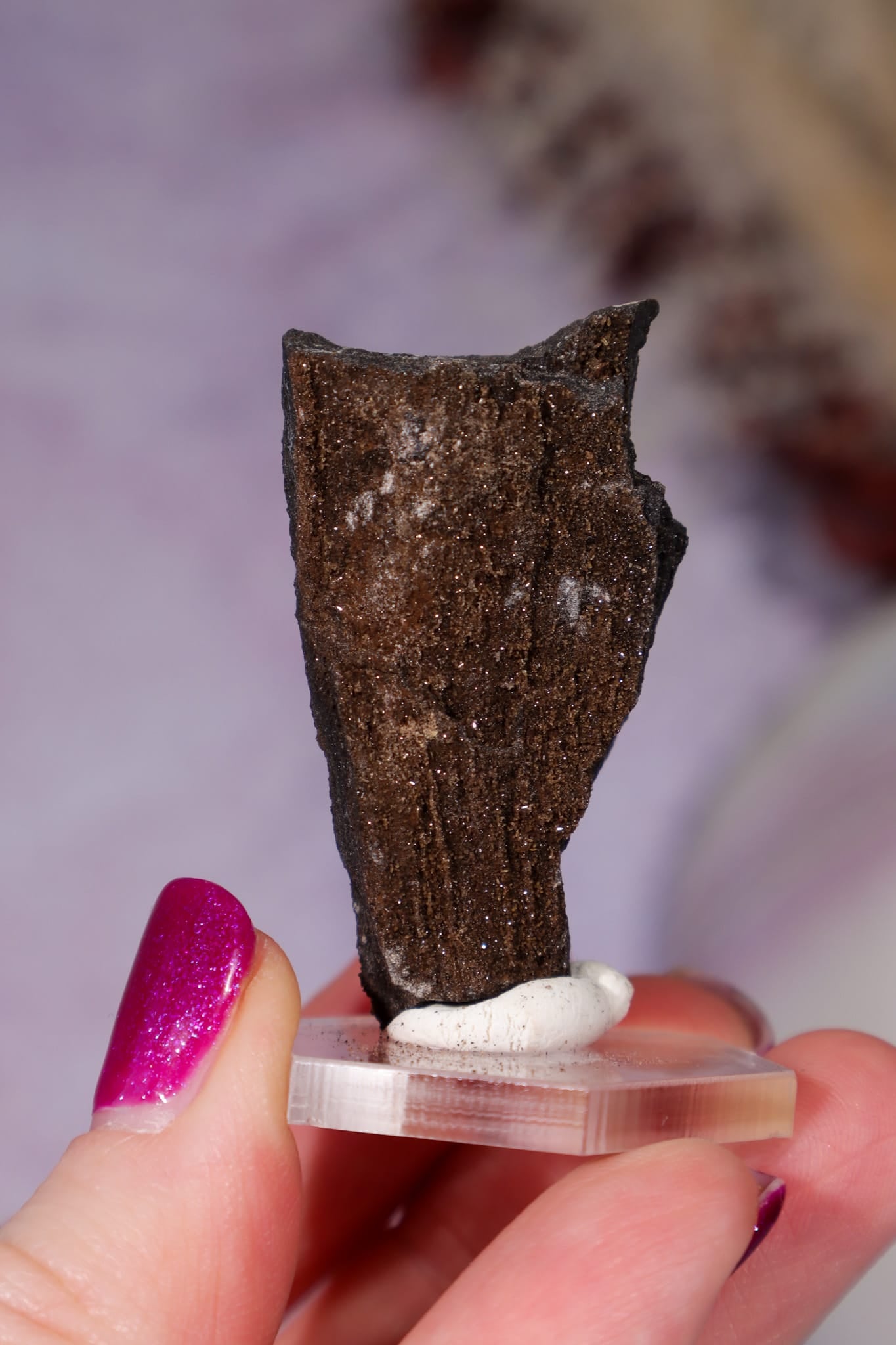 Permineralized Wood Specimen 4.2cm, Zwenkau, Leipzig, Germany, Sold as Seen Fossil Tali & Loz Crystals