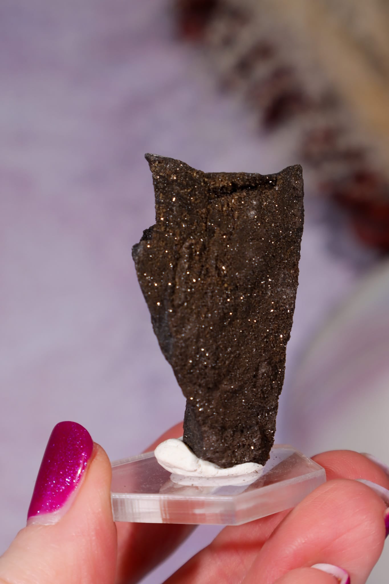 Permineralized Wood Specimen 4.2cm, Zwenkau, Leipzig, Germany, Sold as Seen Fossil Tali & Loz Crystals