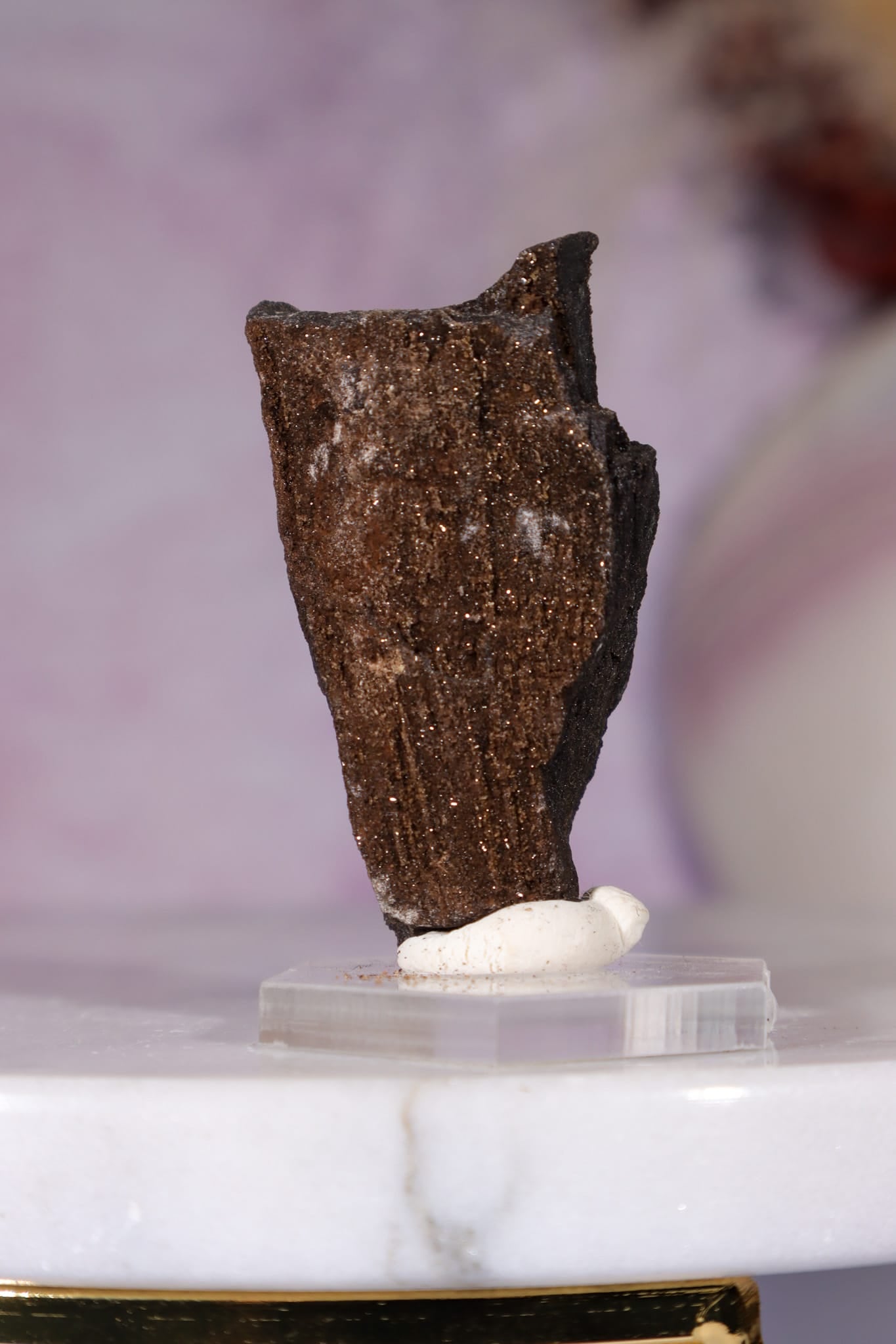 Permineralized Wood Specimen 4.2cm, Zwenkau, Leipzig, Germany, Sold as Seen Fossil Tali & Loz Crystals