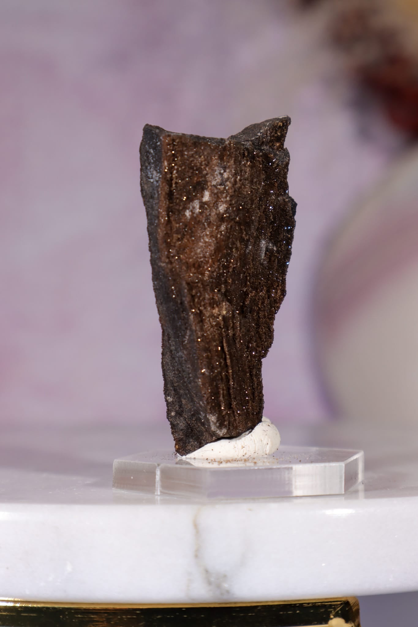 Permineralized Wood Specimen 4.2cm, Zwenkau, Leipzig, Germany, Sold as Seen Fossil Tali & Loz Crystals