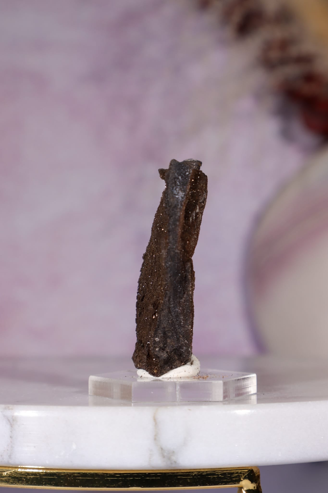 Permineralized Wood Specimen 4.2cm, Zwenkau, Leipzig, Germany, Sold as Seen Fossil Tali & Loz Crystals