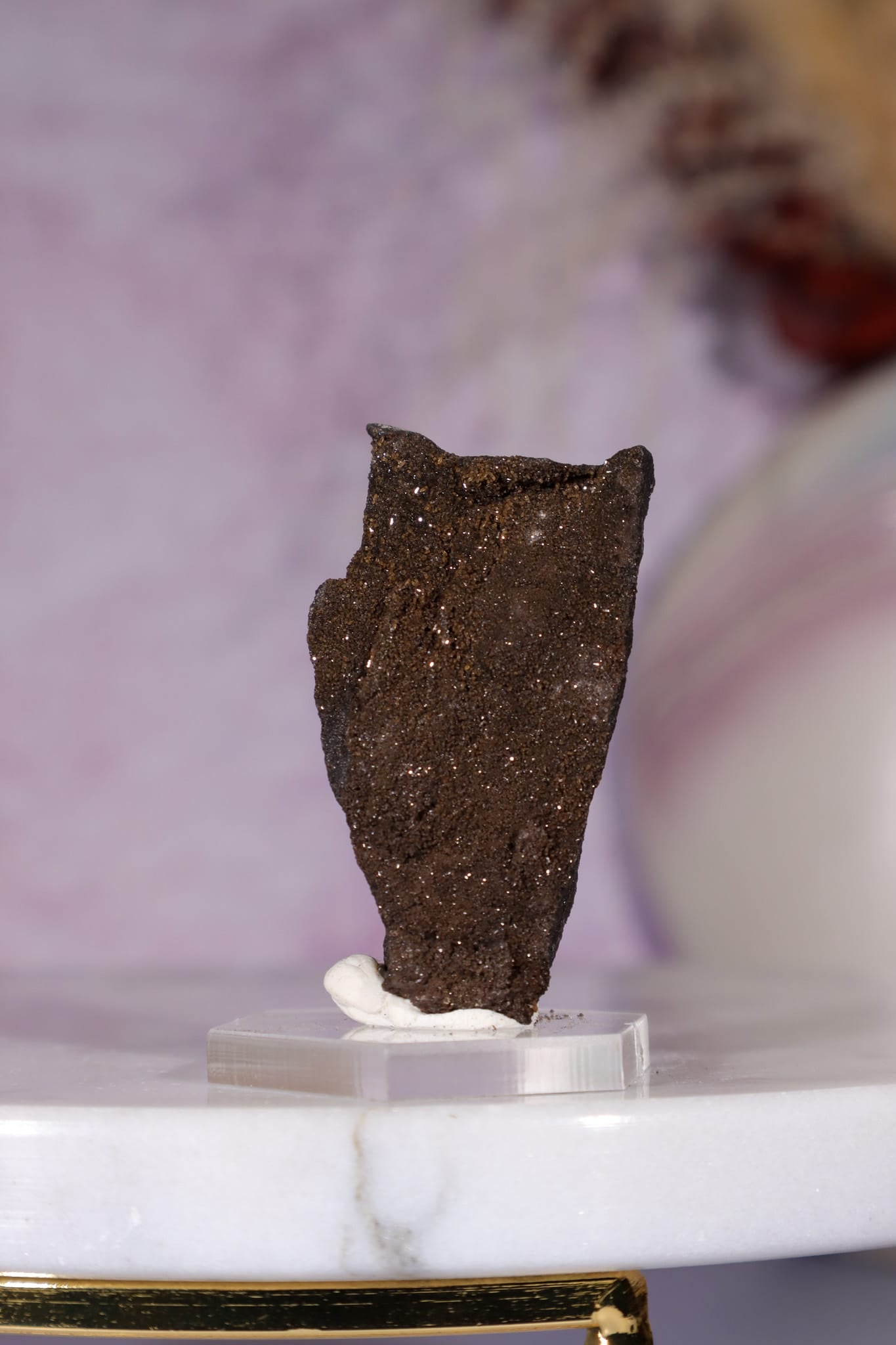 Permineralized Wood Specimen 4.2cm, Zwenkau, Leipzig, Germany, Sold as Seen Fossil Tali & Loz Crystals