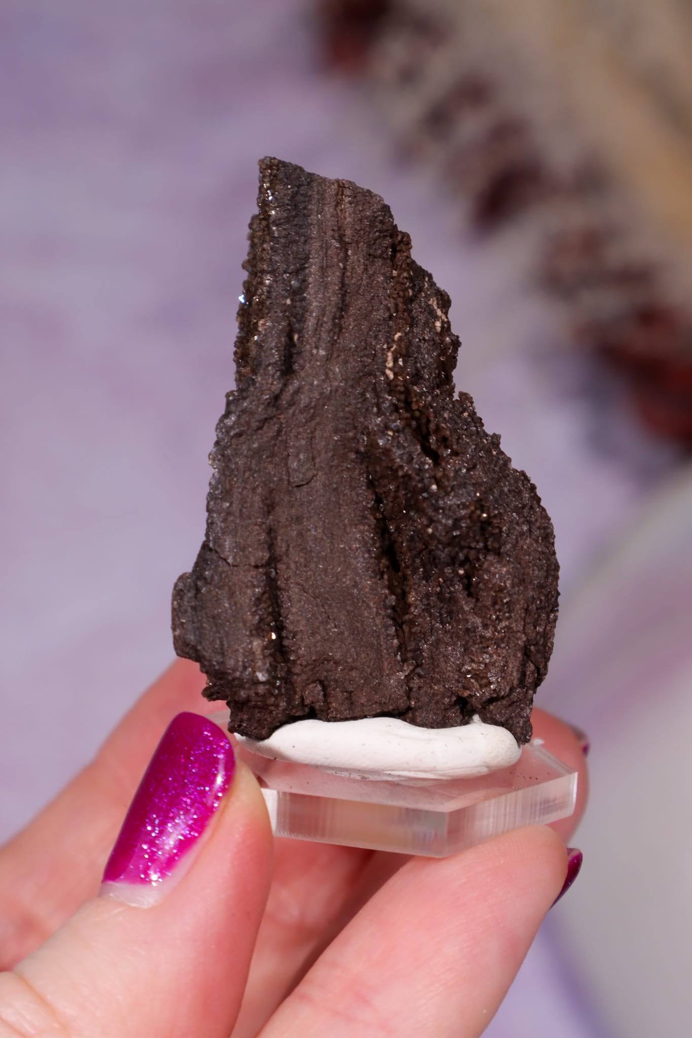 Permineralized Wood Specimen 4.5cm, Zwenkau, Leipzig, Germany, Sold as Seen Fossil Tali & Loz Crystals