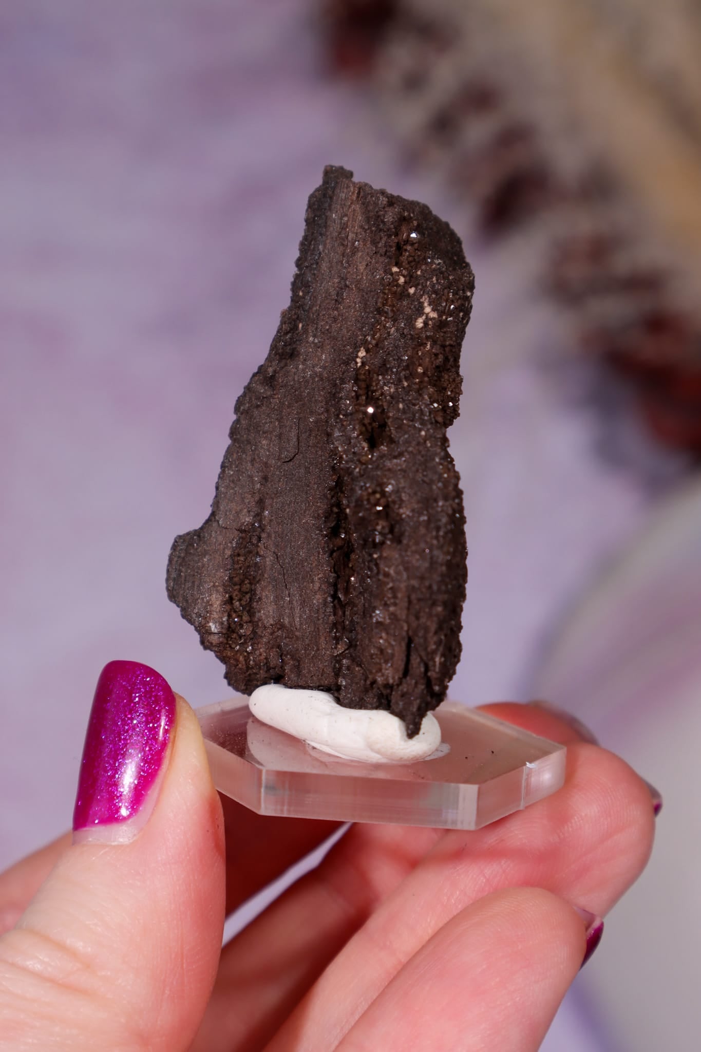 Permineralized Wood Specimen 4.5cm, Zwenkau, Leipzig, Germany, Sold as Seen Fossil Tali & Loz Crystals