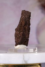 Permineralized Wood Specimen 4.5cm, Zwenkau, Leipzig, Germany, Sold as Seen Fossil Tali & Loz Crystals