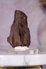 Permineralized Wood Specimen 4.5cm, Zwenkau, Leipzig, Germany, Sold as Seen Fossil Tali & Loz Crystals