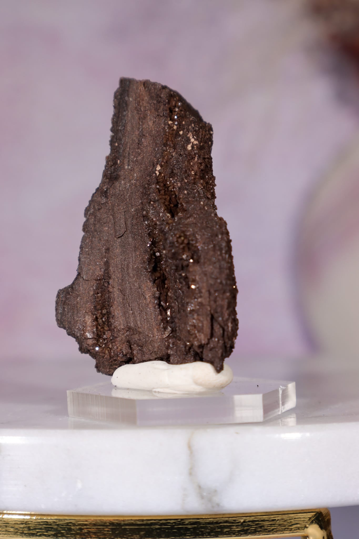 Permineralized Wood Specimen 4.5cm, Zwenkau, Leipzig, Germany, Sold as Seen Fossil Tali & Loz Crystals