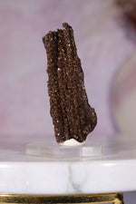 Permineralized Wood Specimen 4.5cm, Zwenkau, Leipzig, Germany, Sold as Seen Fossil Tali & Loz Crystals