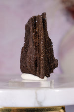 Permineralized Wood Specimen 4.5cm, Zwenkau, Leipzig, Germany, Sold as Seen Fossil Tali & Loz Crystals
