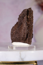 Permineralized Wood Specimen 4.5cm, Zwenkau, Leipzig, Germany, Sold as Seen Fossil Tali & Loz Crystals