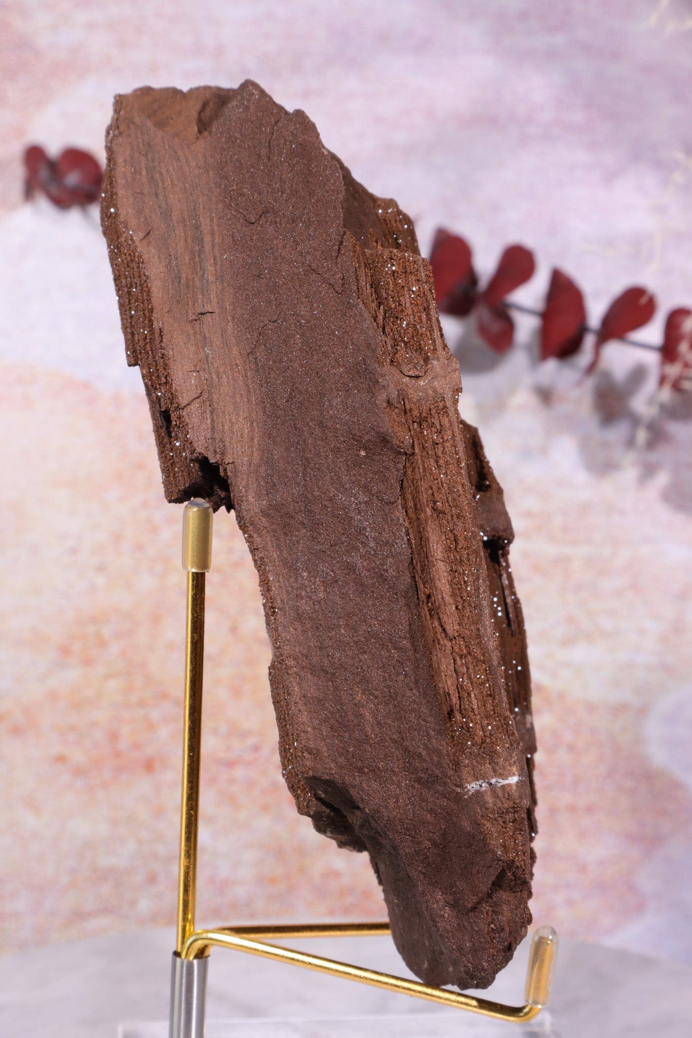 Permineralized wood With Detail, 16cm, Sold As Seen Fossil Tali & Loz Crystals