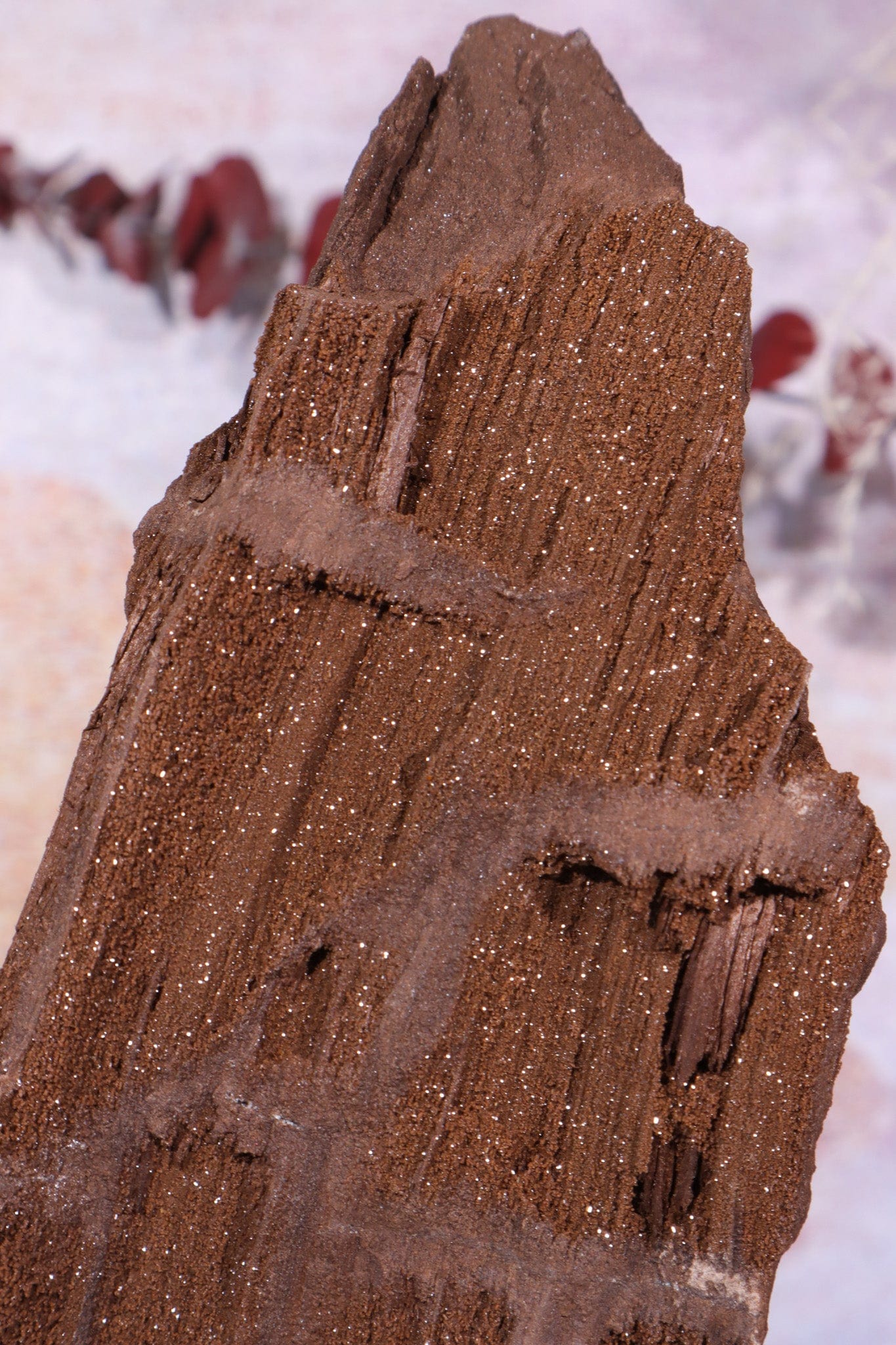 Permineralized wood With Detail, 16cm, Sold As Seen Fossil Tali & Loz Crystals