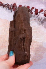 Permineralized wood With Detail, 16cm, Sold As Seen Fossil Tali & Loz Crystals