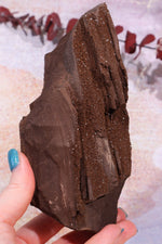 Permineralized wood With Detail, 16cm, Sold As Seen Fossil Tali & Loz Crystals