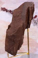 Permineralized wood With Detail, 16cm, Sold As Seen Fossil Tali & Loz Crystals