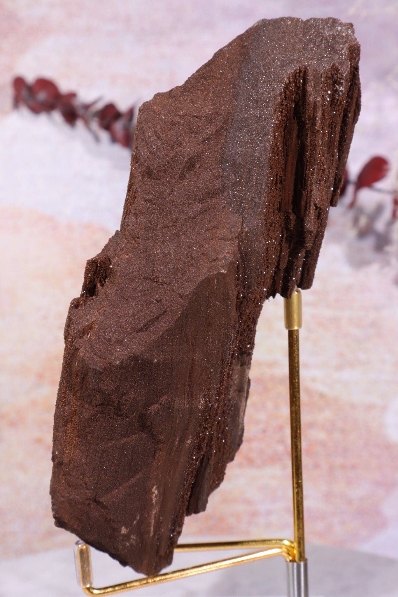 Permineralized wood With Detail, 16cm, Sold As Seen Fossil Tali & Loz Crystals