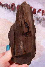 Permineralized wood With Detail, 16cm, Sold As Seen Fossil Tali & Loz Crystals