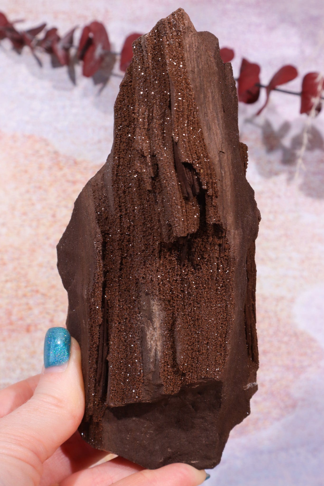 Permineralized wood With Detail, 16cm, Sold As Seen Fossil Tali & Loz Crystals