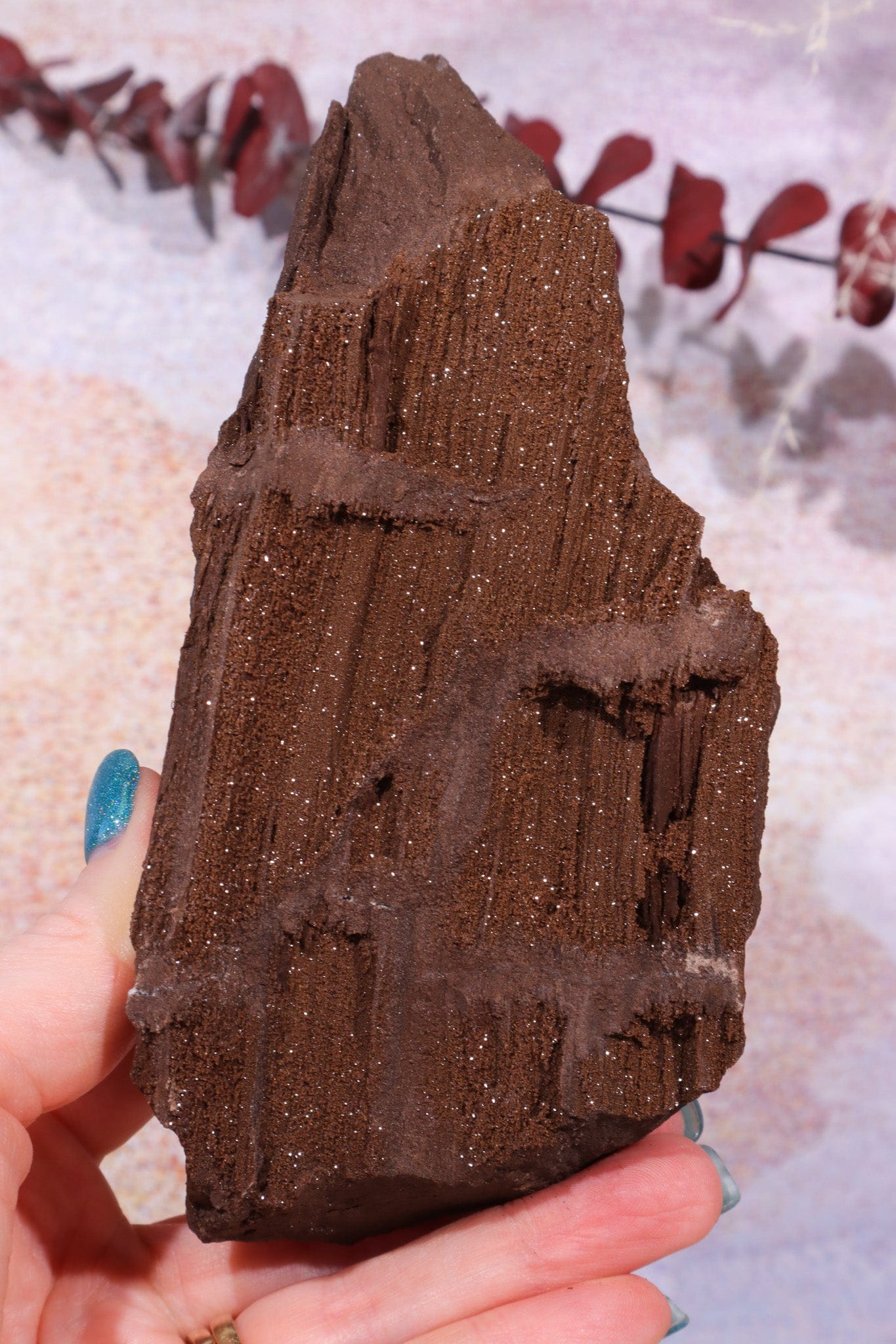 Permineralized wood With Detail, 16cm, Sold As Seen Fossil Tali & Loz Crystals